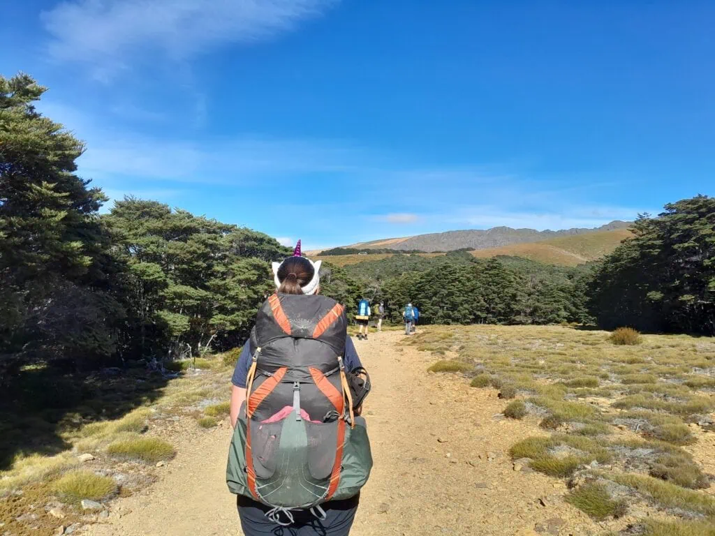 Hiker wearing a white unicorn headband with a purple horn carrying a backpack while walking along a gravel trail in Kahurangi National Park towards Sylvester Hut.