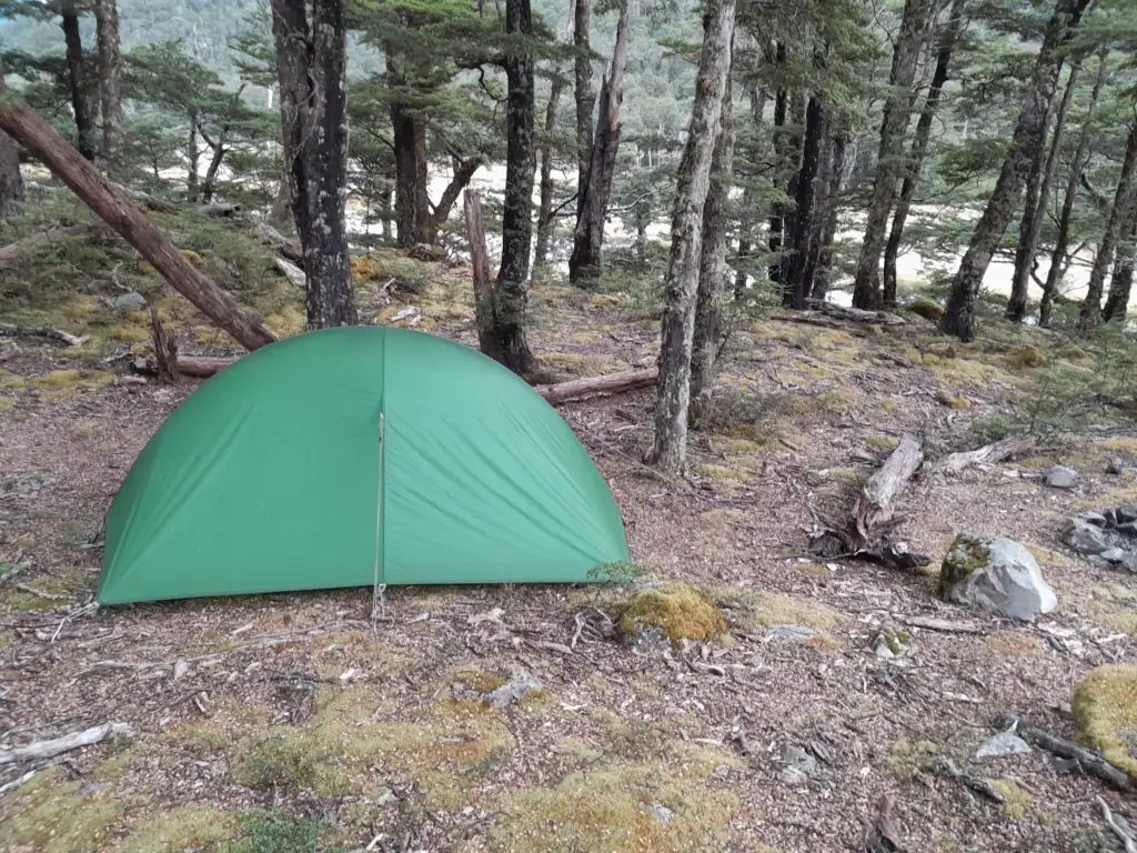 Backcountry camping tent pitched in the beech forest along the Waiau Pass route at Waiau Hut, St James Conservation Area