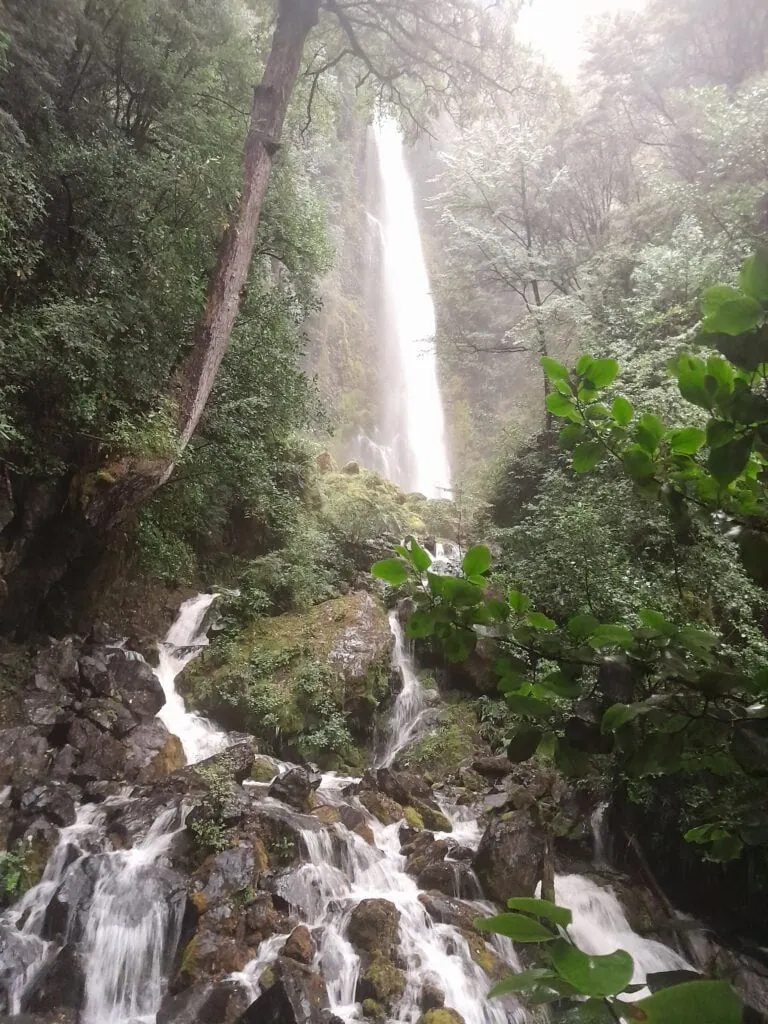 View of Whisky Falls waterfall flowing into a rocky creek near Lake Rotoiti, Nelson Lakes National Park