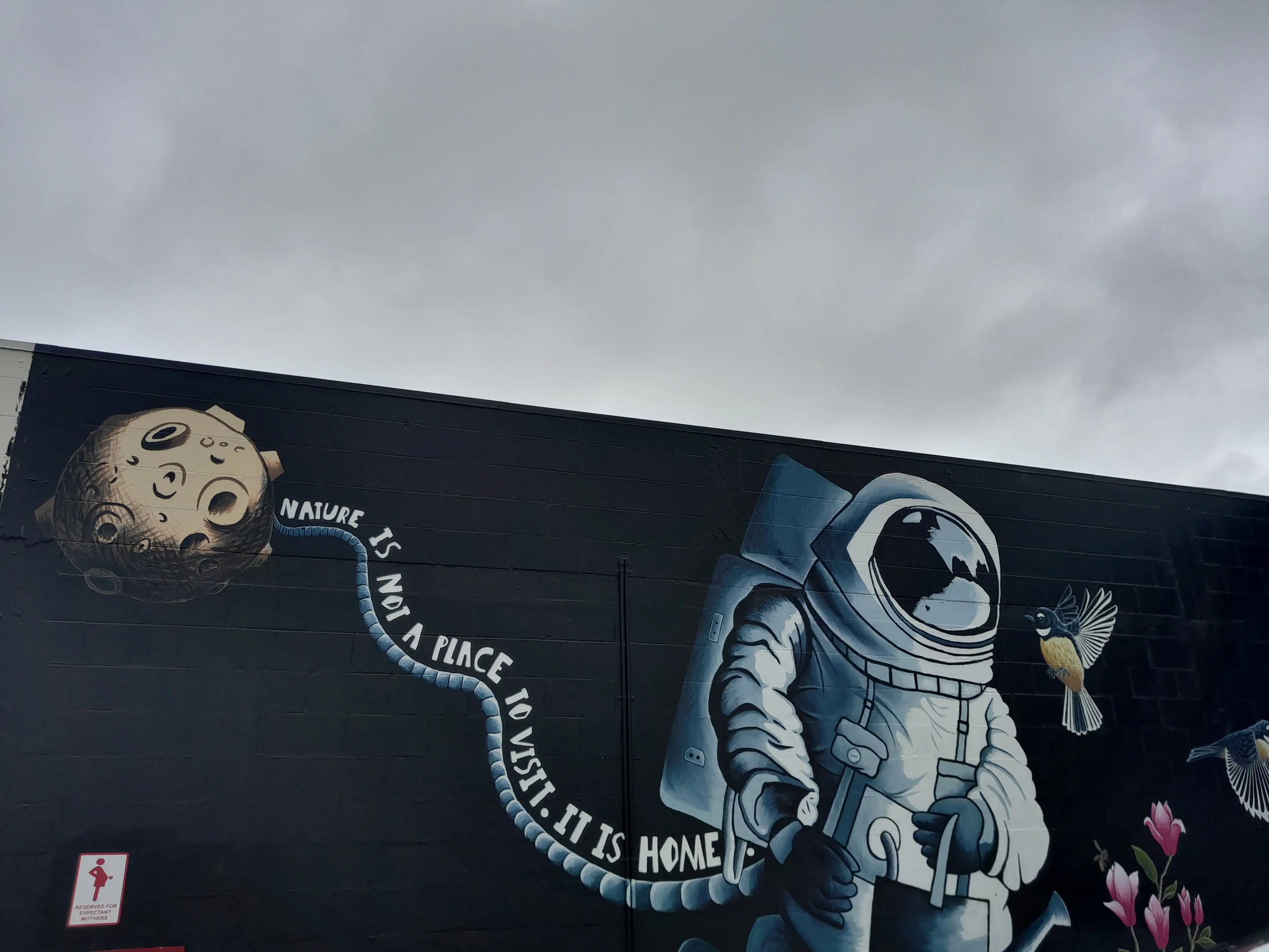 A beautiful artistic mural found in Nelson depicting an astronaut and a bird with a message saying that nature is not a place to visit but rather is home.