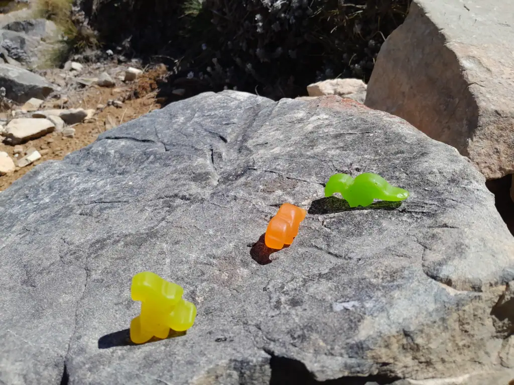 Three colorful gummy dinosaur lollies placed on a grey rock as hiking snack fuel during a climb. up Bounds Peak, Raglan Range, Marlborough