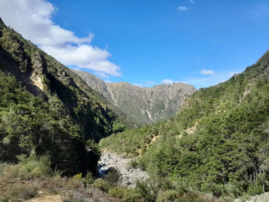 Panoramic view looking down the forested Gosling Valley towards rugged mountain peaks under a clear blue sky, Marlborough